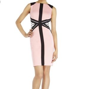 Pink Sheath Dress sz 6{Ivanka Trump}
